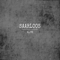 Free Fallin' - SAARLOOS