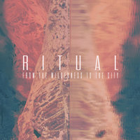 Instinct - R I T U A L, Jay Prince