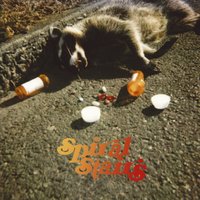 A Mighty Mighty Fall - Spiral Stairs