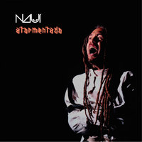 Camisa De Força - Nauí