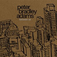 Emily's Rain - Peter Bradley Adams