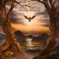 Far Above the Trees - Sear Bliss