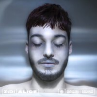 Plaie - ZIDI