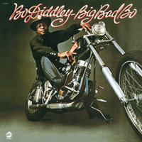 He's Got All The Whiskey - Bo Diddley