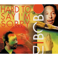 Hard to Say I'm Sorry - DJ Bobo