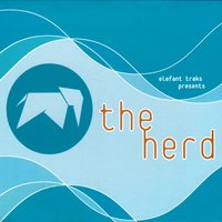 Scallops - The Herd