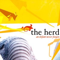 States Of Transit - The Herd