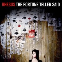 Berlin - Rhesus