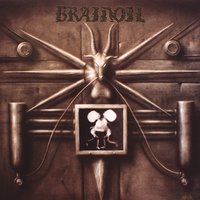 Support in Numbers - Brainoil