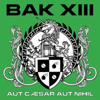 The Awakening - BAK XIII