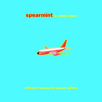 a third of my life - Spearmint