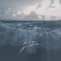 All I See - Portair