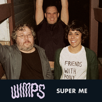 Take It As It Comes - Wimps