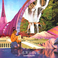 Something Beautiful - Larkins