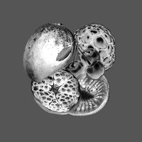 Pomegranate - Siba