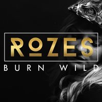 In & Out - ROZES