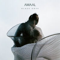 Not What I Thought - AMAAL