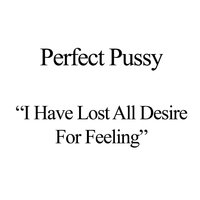 IV - Perfect Pussy