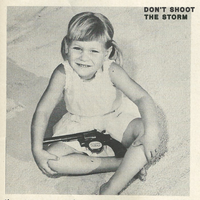 Don't Shoot The Storm - The Howl & The Hum