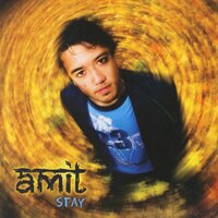 Stay - Amit