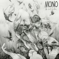Mono