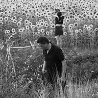 A Song Of Shadows - Jesu, Sun Kil Moon