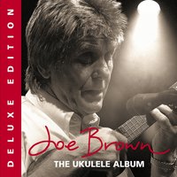 Mr Blue Sky - Joe Brown