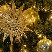 Dog Days of Christmas - Christmas Time, Silent Night, Children's Christmas Songs, Christmas Time, Silent Night
