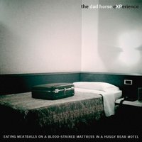 Will I Be Someone - The Dad Horse Experience