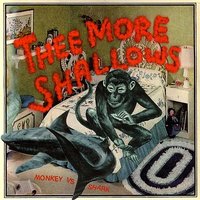Freshman Thesis - Thee More Shallows, WHY?, Odd Nosdam