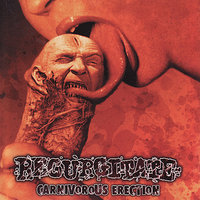 The Combustion and Consumption of Pyorrheic Waste - Regurgitate