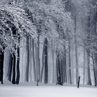 Dear Santa - Childrens Christmas Favourites, Xmas Music, Christmas Cafe