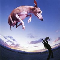 Beautiful Girls Are Insane - Paul Gilbert