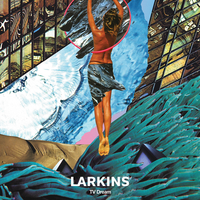 TV Dream - Larkins