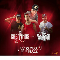 Estremece Quando Ela Desce - Os Cretinos, MC WM