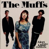 Room With No View - The Muffs