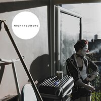 Embers - Night Flowers