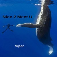 If U Don't No Where You're Goin'... - Viper