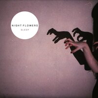 Night Flowers
