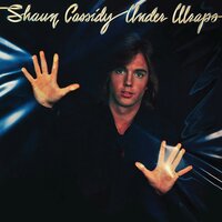Our Night - Shaun Cassidy
