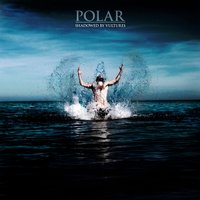 Shadowed by Vultures - Polar.