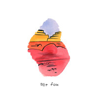 Play Fair - Pet Fox