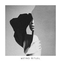 I Can't Dance - Mating Ritual