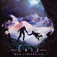 Smash the Funk - Griz