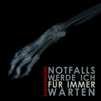 Notfalls Werde Ich Für Immer Warten - Karpatenhund