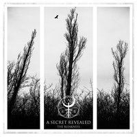 Avoid the Light - A Secret Revealed