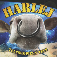 Vlk samotář - Harlej