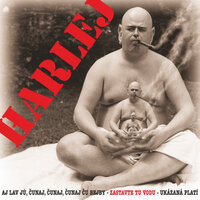 Svařák - Harlej