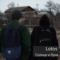 Lotos