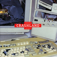 Modern Animal - Crash Land